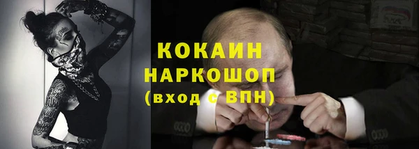 спайс Кулебаки