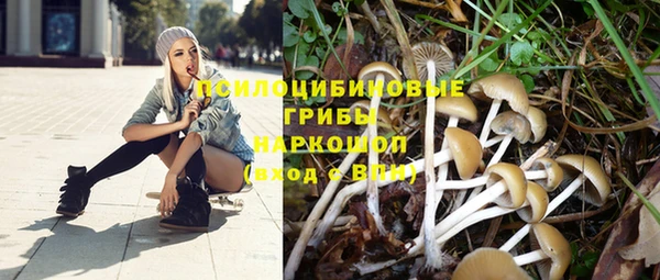 спайс Кулебаки