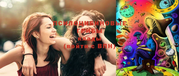 спайс Кулебаки