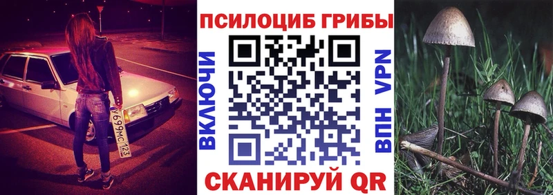 Галлюциногенные грибы Psilocybine cubensis Лакинск